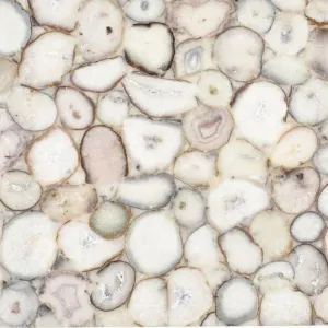 BONE Semi Precious Agate Gemstone Polished Slab