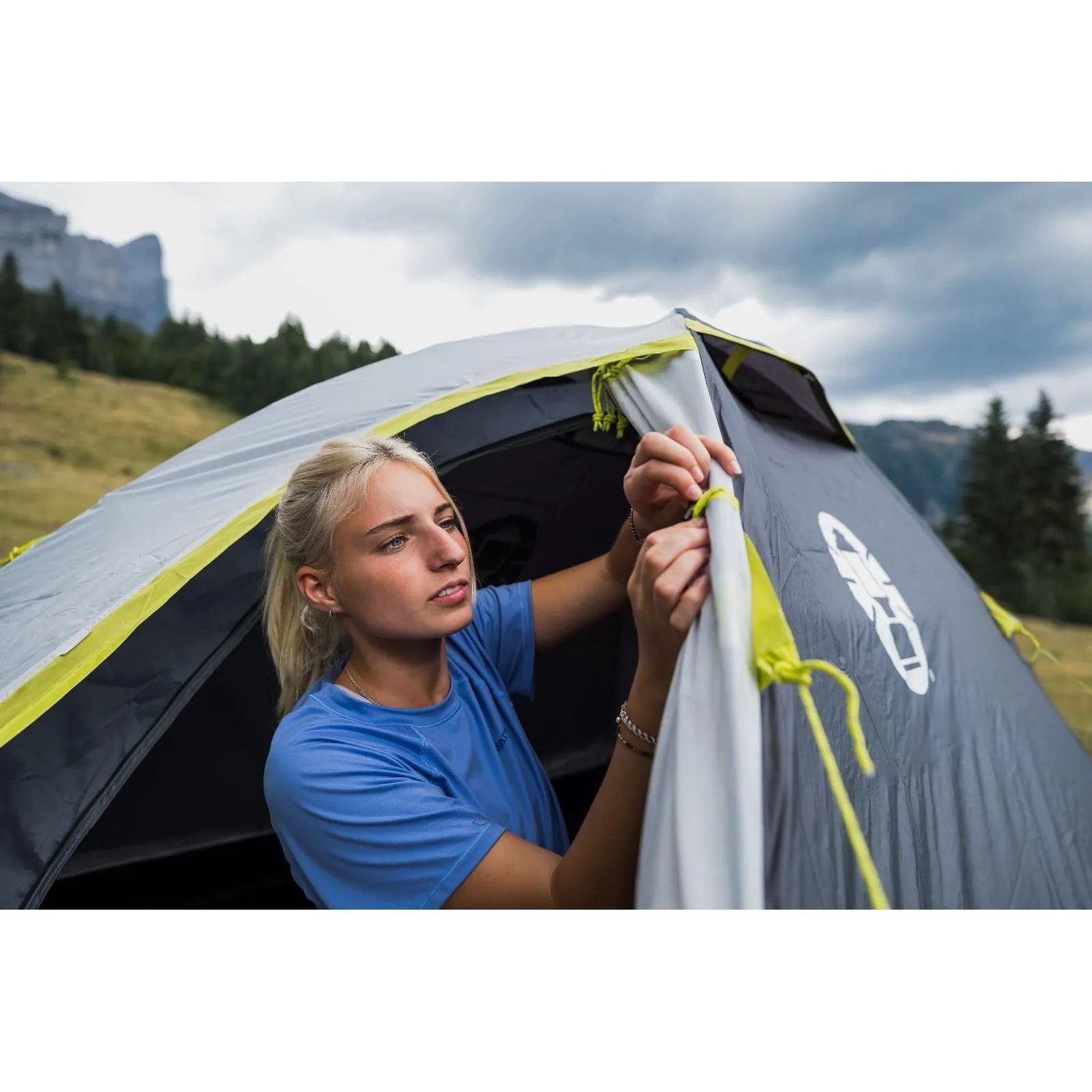 Coleman Darwin Tent 2 Person Grey Camping Outdoors Backpacking Quick Pitch Dome