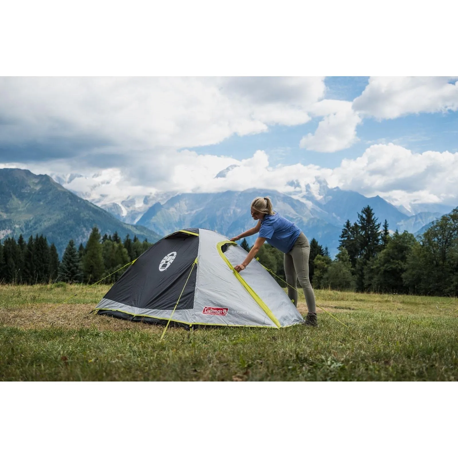 Coleman Darwin Tent 2 Person Grey Camping Outdoors Backpacking Quick Pitch Dome
