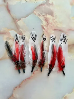 Combo Feather 55