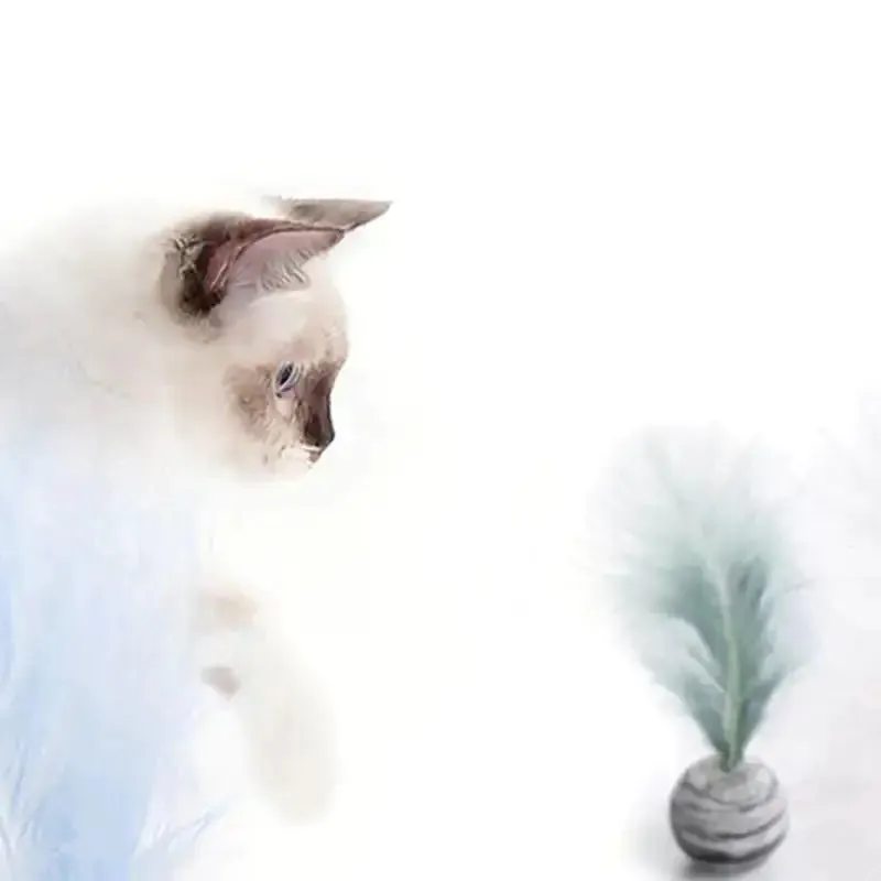 Dura-PURR Feather Ball Toy for Agility