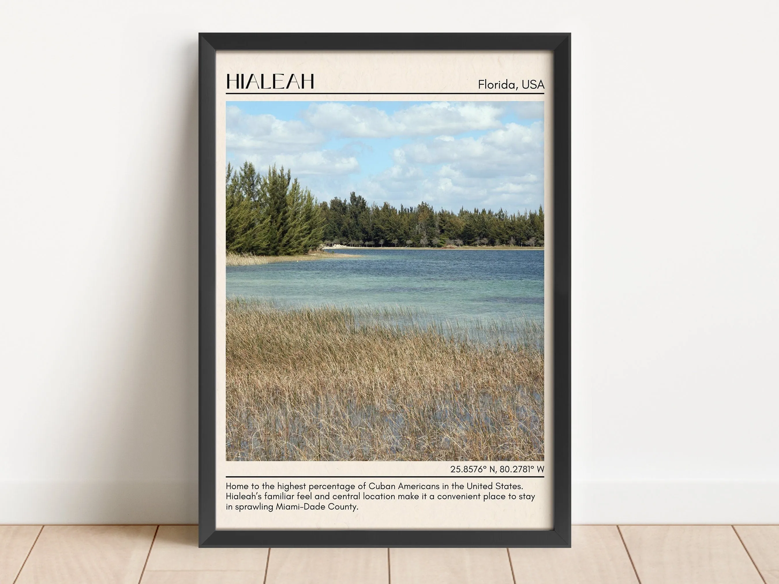 Hialeah Minimal Wall Art, Florida, USA
