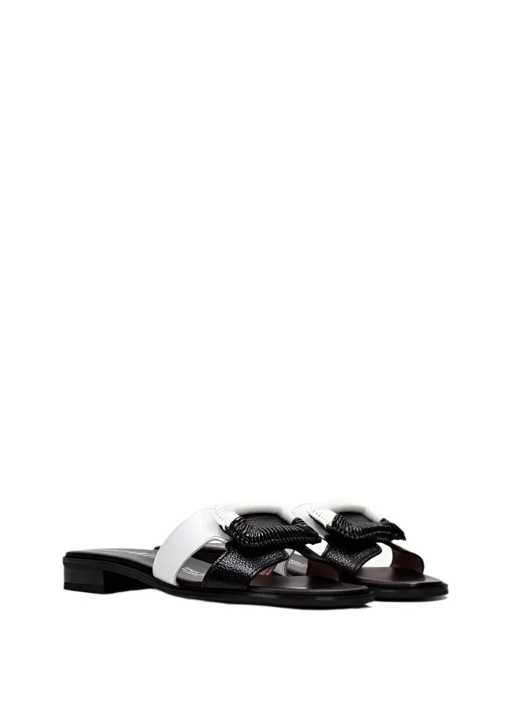 Hispanitas Flats