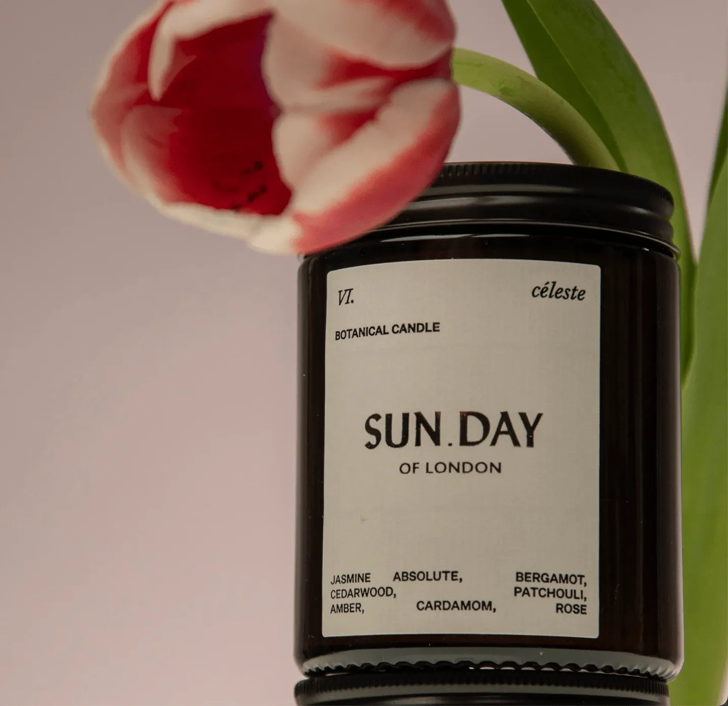 Luxury Vegan Candle | Céleste 180ml