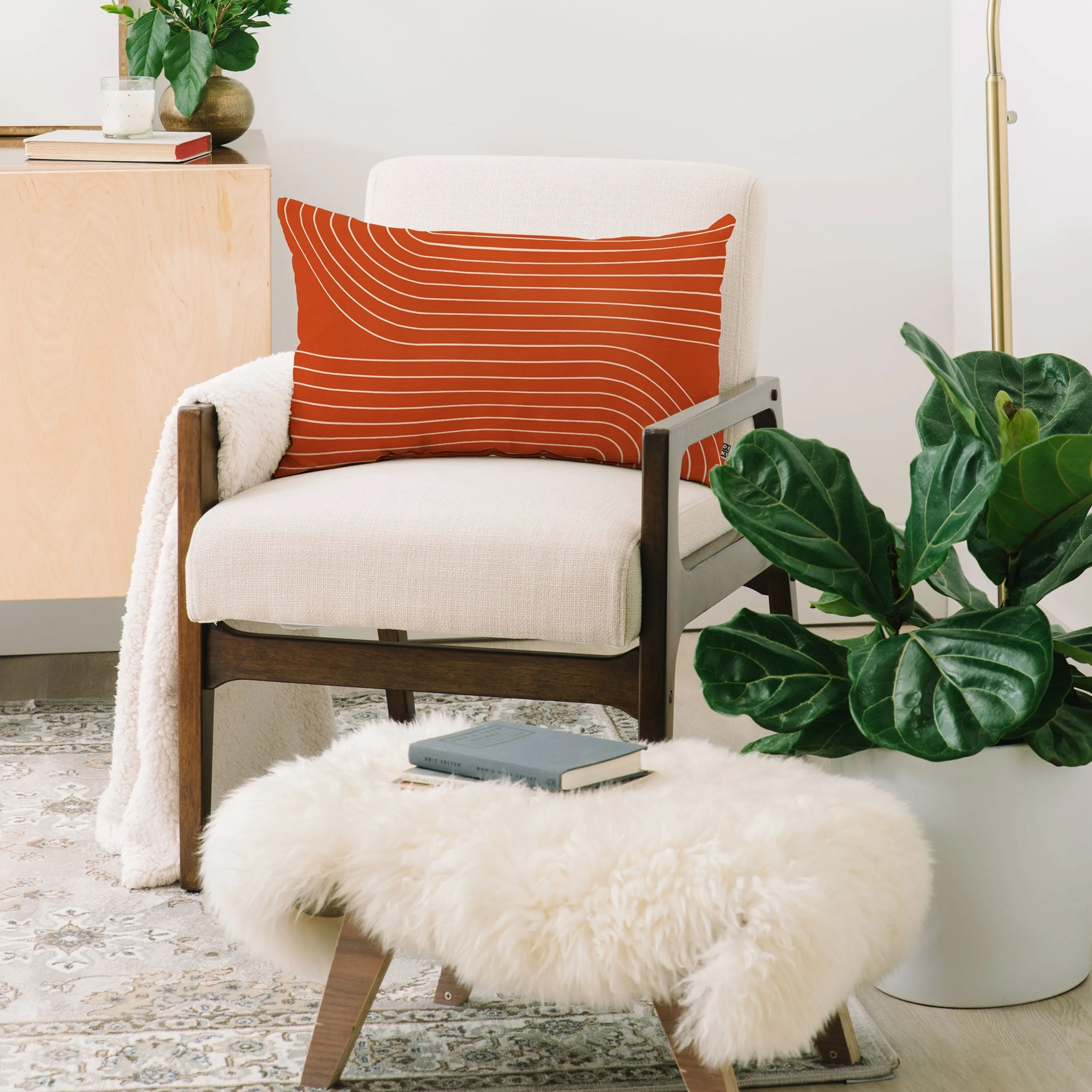 MINIMAL LINE CURVATURE CORAL
