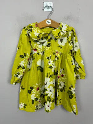 Next Lime Floral Jersey Dress 9-12m
