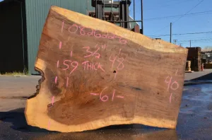 Oregon Black Walnut Slab 082622-06