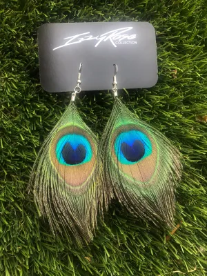 Pavo Real Peacock Feathers