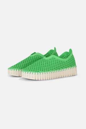 Platform Tulip Skor - Bright Green