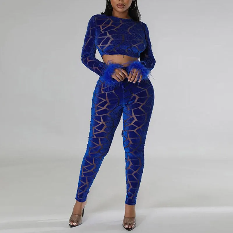 Velvet Feather Design Crop Top & Pants Set