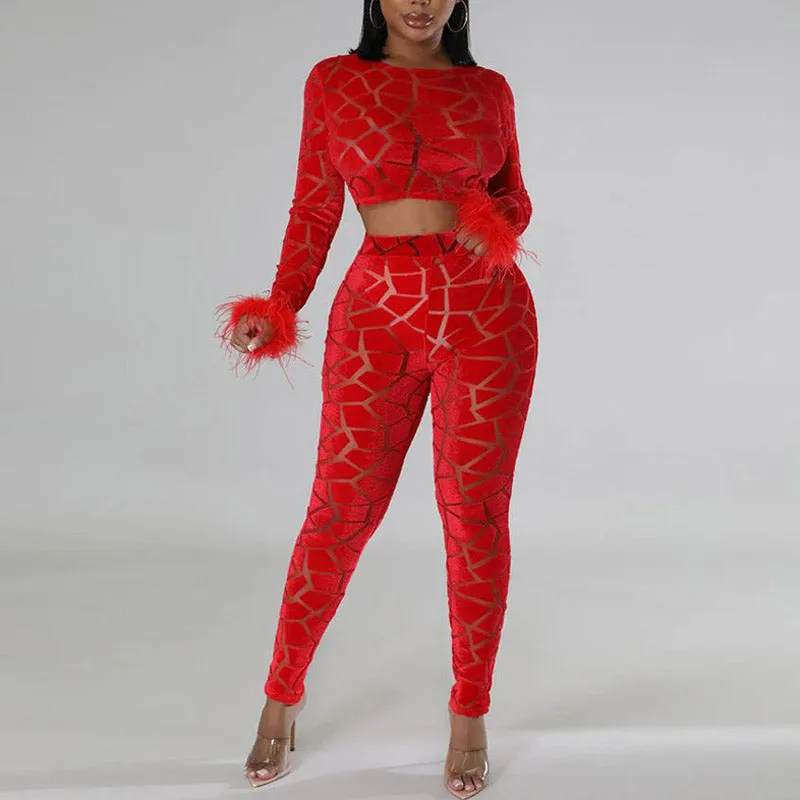 Velvet Feather Design Crop Top & Pants Set