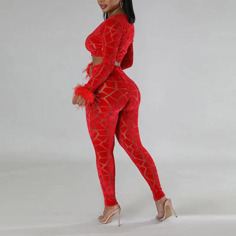 Velvet Feather Design Crop Top & Pants Set
