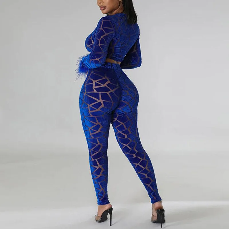 Velvet Feather Design Crop Top & Pants Set