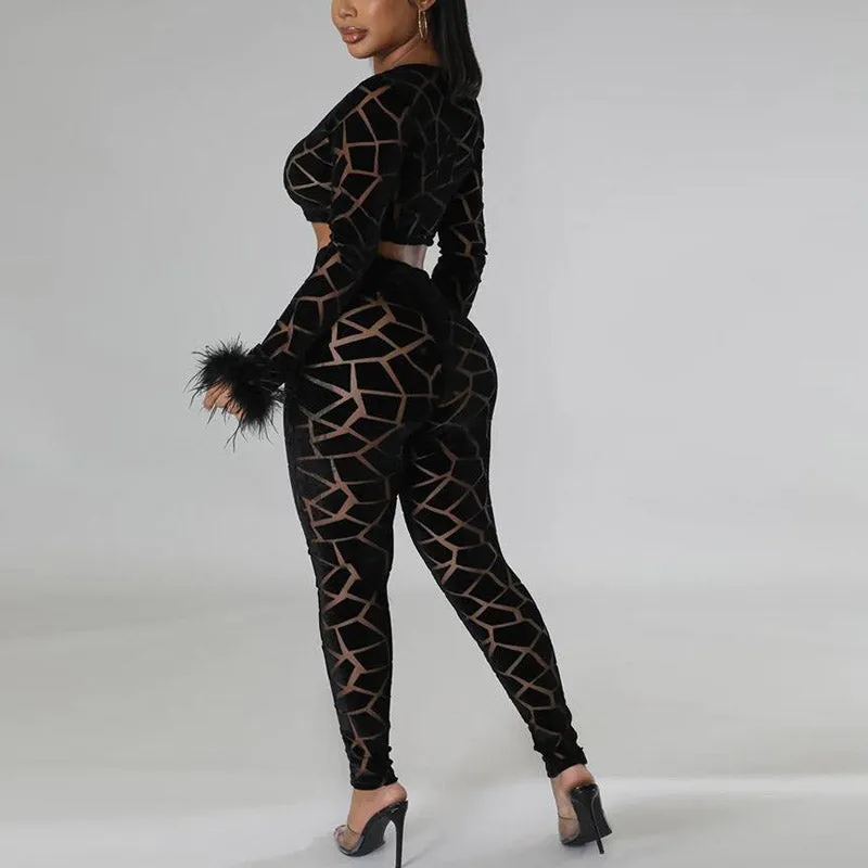 Velvet Feather Design Crop Top & Pants Set