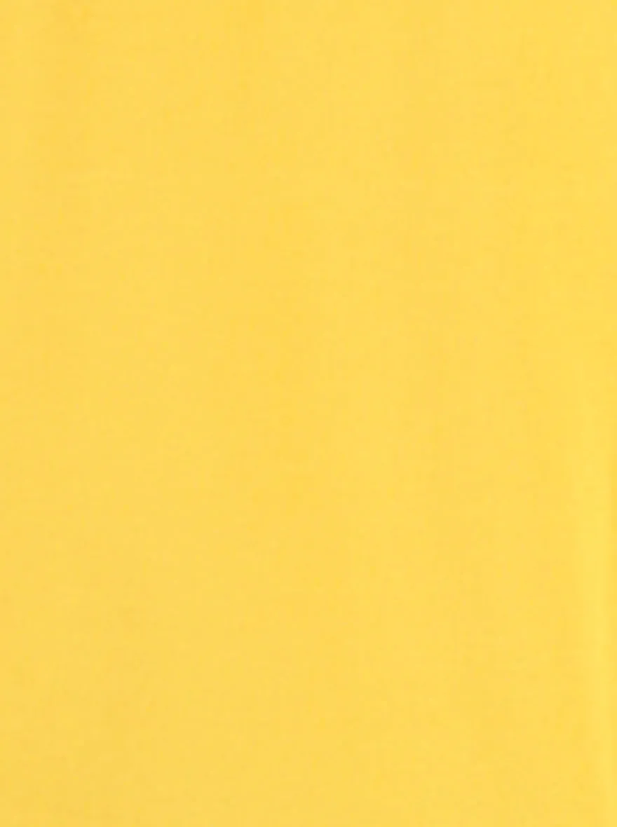 Yellow Solid Slim Fit Polo T-Shirt | JadeBlue